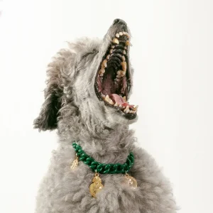 Dandy Street - shop online - accessori per cani e gatti - collane per cani e gatti - collana per gatti - Marley Dandy Street - shop online - accessori per cani e gatti - collane per cani e gatti - collana per gatti - Marley