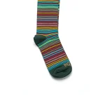 Dandy Street – shop online – accessori uomo calzini uomo cotone – calzini da uomo in cotone multicolor – Stripes Green